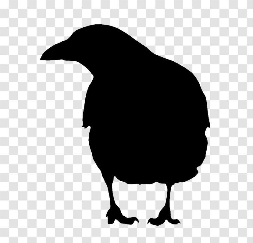 Beak Clip Art Fauna Silhouette Landfowl - Crow Transparent PNG