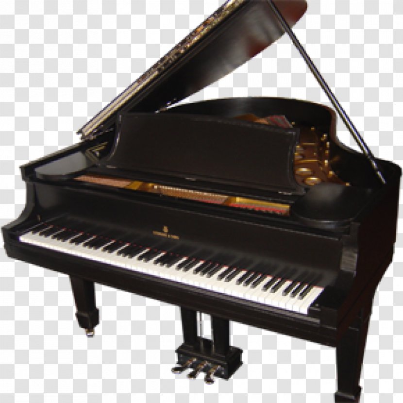 Digital Piano Musical Instruments Steinway & Sons Wilhelm Schimmel - Flower Transparent PNG