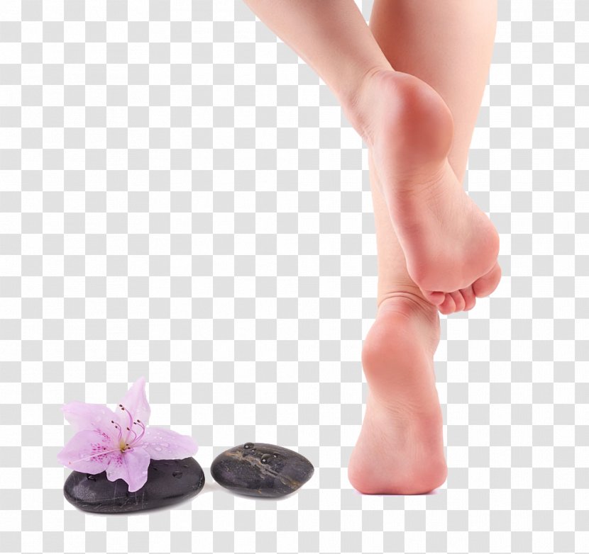 Callus Cleanser Pedicure Hair Removal Foot - Tree - Flowers Legs And After Transparent PNG