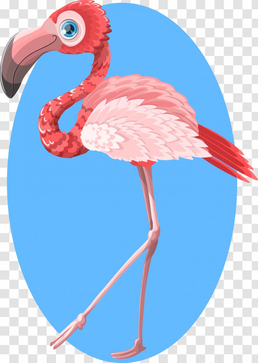 Flamingo Clip Art Transparent PNG
