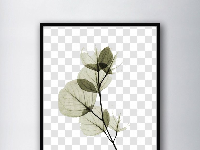 Watercolor Painting Drawing Art - Abstract - Green Bean Flour Transparent PNG
