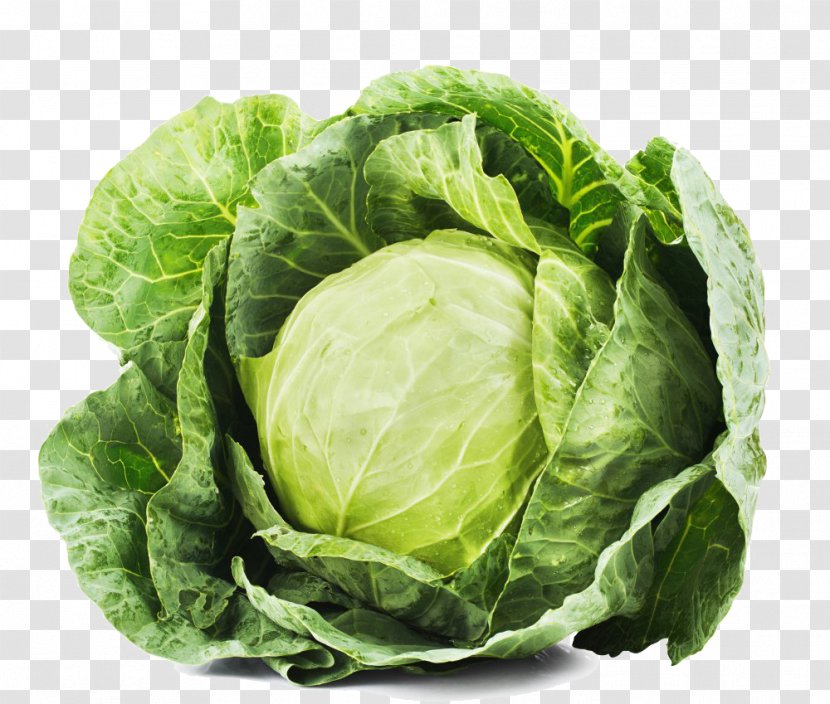 Red Cabbage Leaf Vegetable Food Transparent PNG