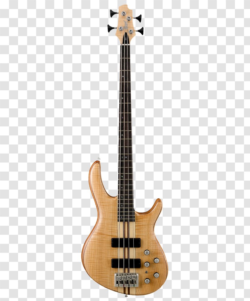 Bass Guitar Cort Guitars Double - Tree Transparent PNG