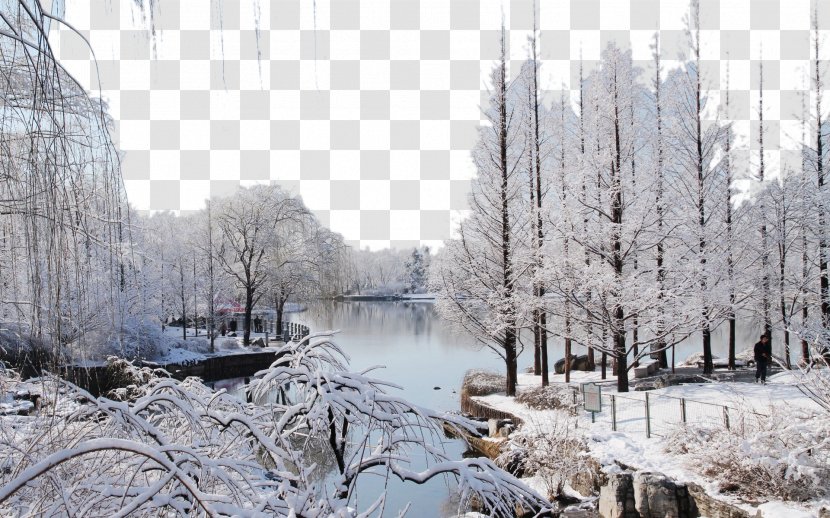 Beijing Botanical Garden Wallpaper - Geological Phenomenon - Snow Eight Transparent PNG