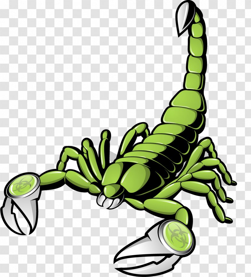 Scorpion Euclidean Vector Clip Art - Scorpio - Scorpions Transparent PNG