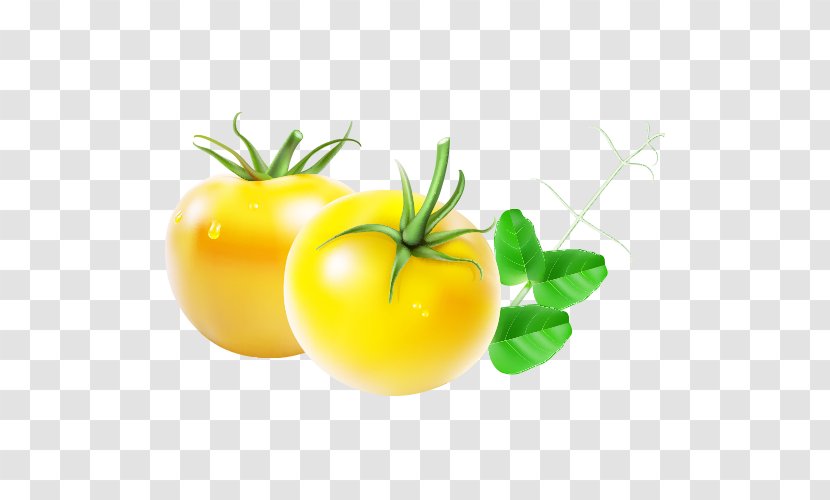 Tomato Sauce Cartoon - Potato And Genus - Tomatoes Transparent PNG