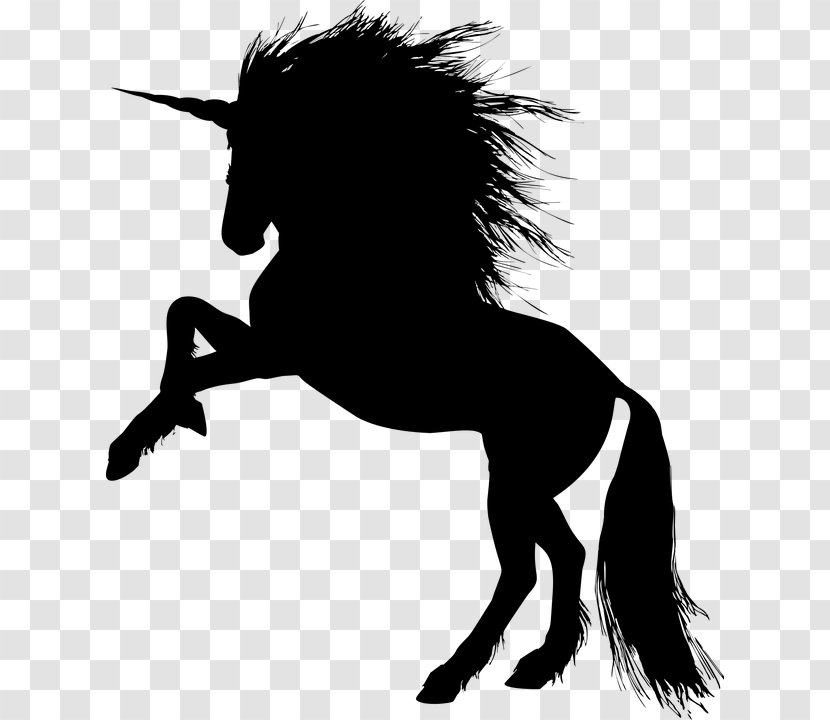 Horse Unicorn Clip Art - Horn Transparent PNG