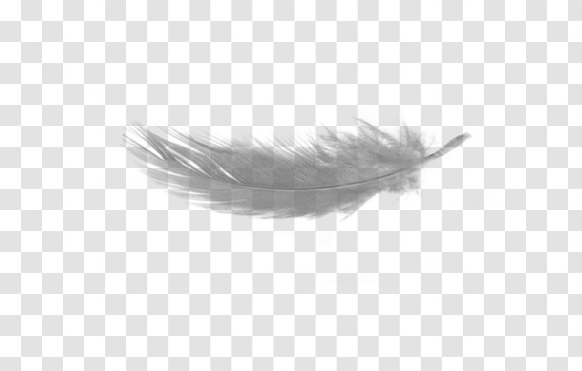 Feather Light Clip Art - Black And White Transparent PNG