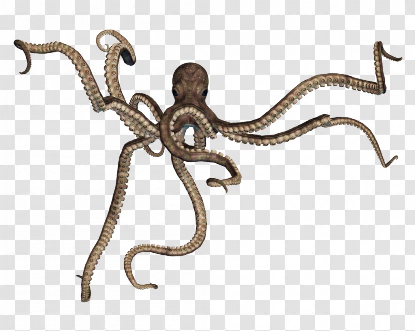 Octopus Squid - Reptile - Octapus Transparent PNG
