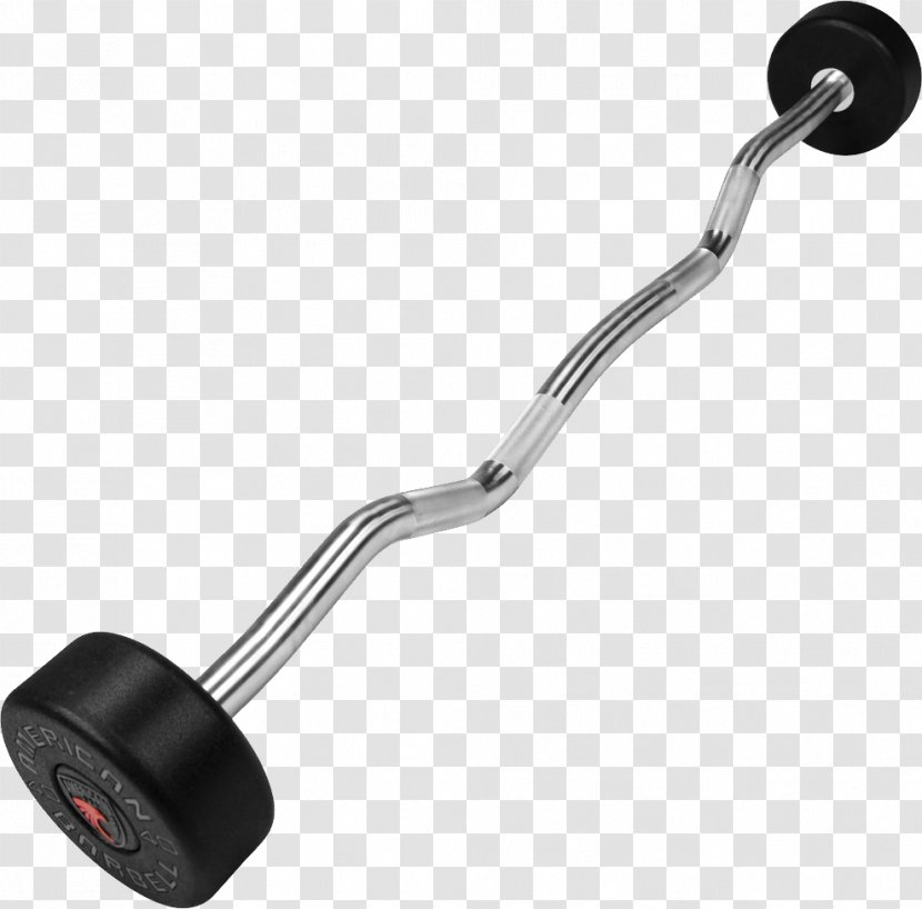 Barbell Weight Training Olympic Weightlifting Bench Press - Physical Exercise Transparent PNG
