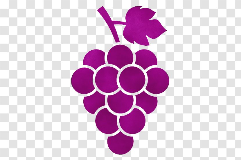 Grape Violet Grapevine Family Purple Seedless Fruit - Logo - Magenta Transparent PNG