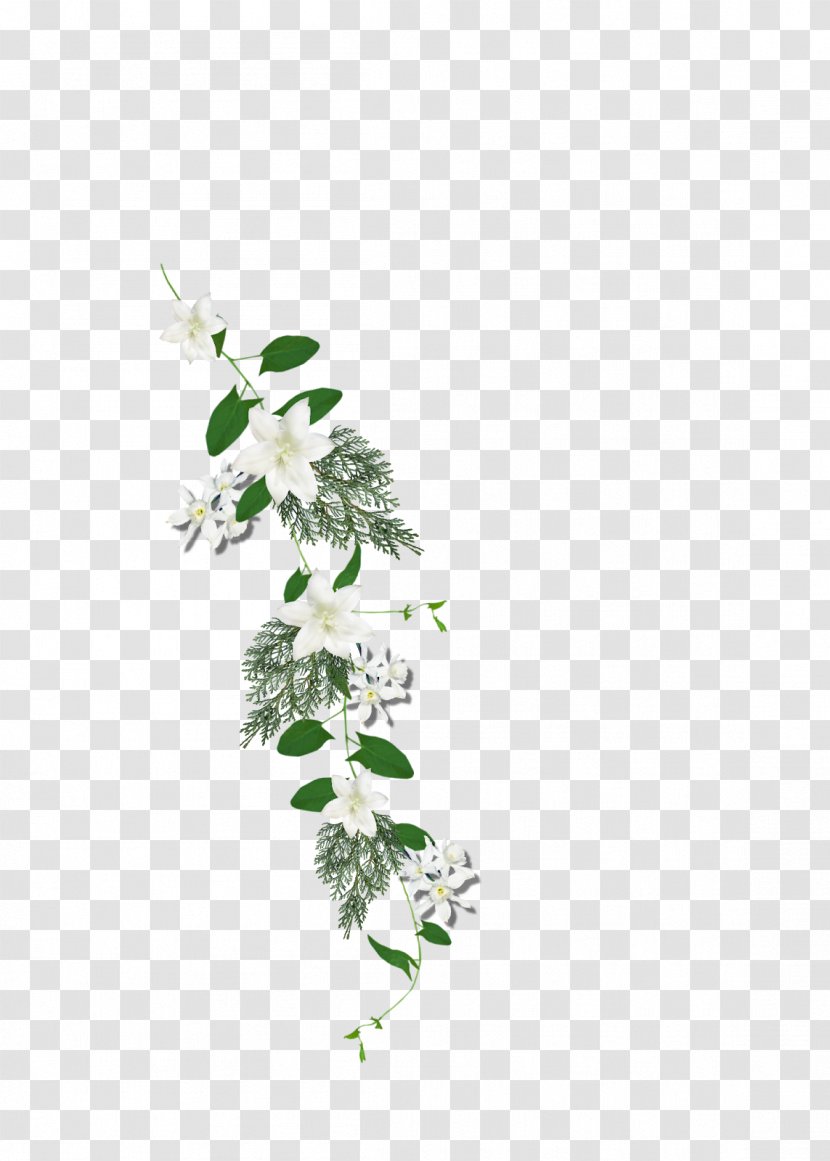 Twig Floral Design Cut Flowers Plant Stem Leaf - Flora Transparent PNG