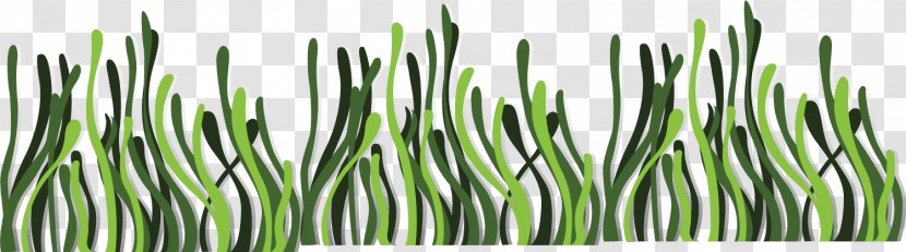 Seaweed Euclidean Vector Deep Sea - Grass Transparent PNG