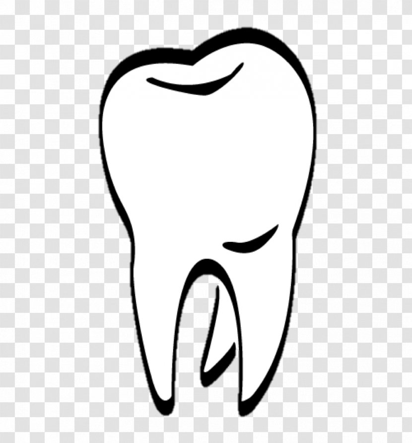 Human Tooth Dentist Clip Art - Silhouette - Teeth Transparent PNG
