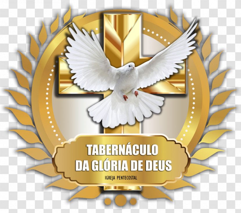Tabernacle Logo Brand God Font - Wing - Nalgas Transparent PNG