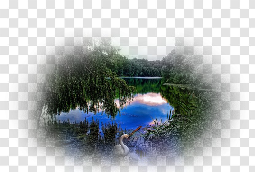 Desktop Wallpaper Landscape Painting Nature Metaphor - Sky - Phenomenon Transparent PNG