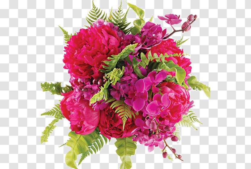 Floral Design Love Cut Flowers Friendship Valentine's Day - Rosa Centifolia - Peony Transparent PNG