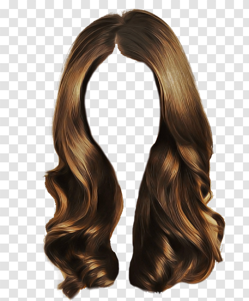 Hair Dryer Hair Head Hair Brown Hair Hair Coloring Transparent PNG