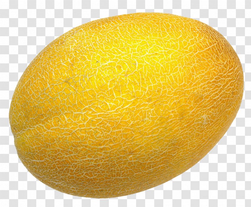 Cantaloupe Melon Honeydew Fruit - Citrus Transparent PNG