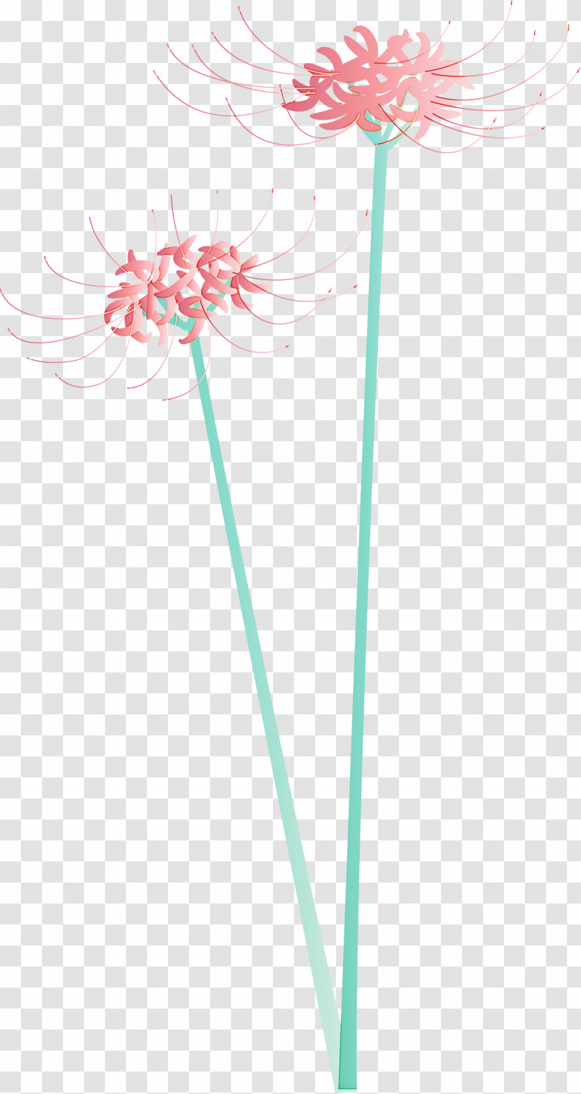 Hurricane Lily Flower Transparent PNG