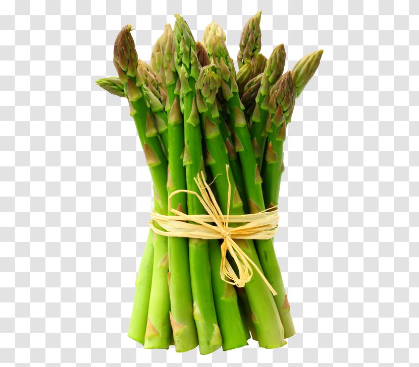 Asparagus Raw Foodism Health Vegetable - Vegetarian Food - Watercolor Vegetables Transparent PNG