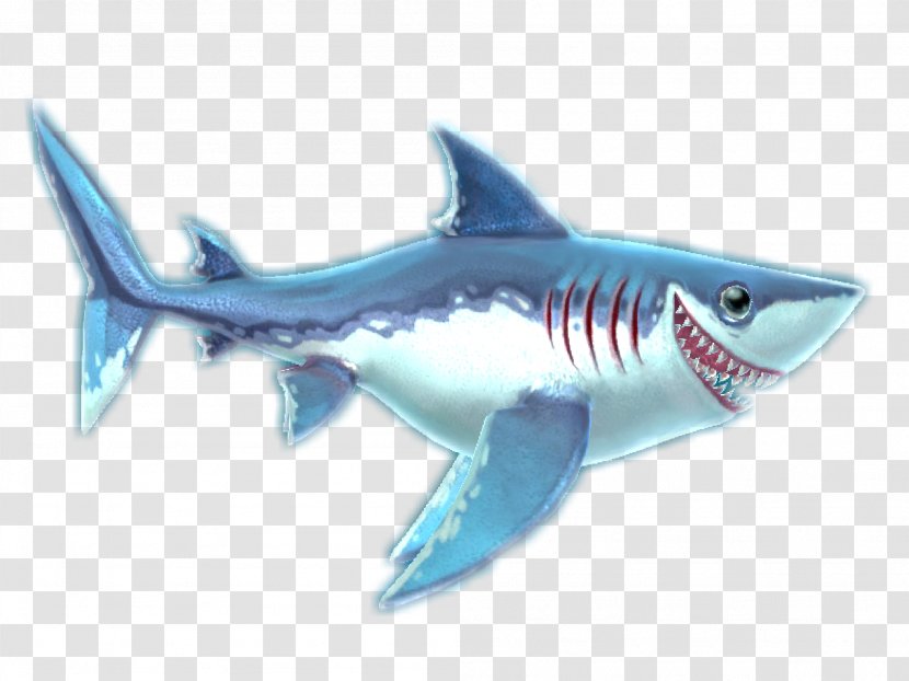Hungry Shark World Evolution Great White Stethacanthus - Porbeagle - Sharks Transparent PNG