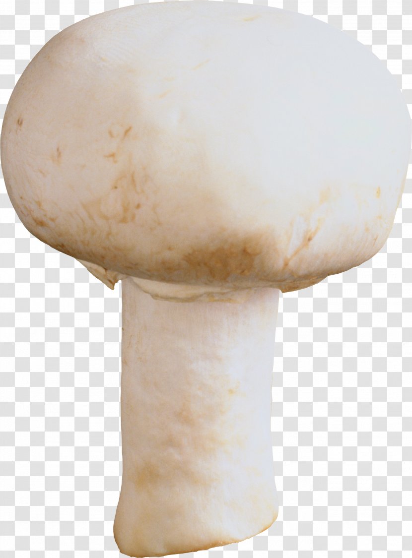 Mushroom Festival Pasta Stuffing Common - Food - Image Transparent PNG