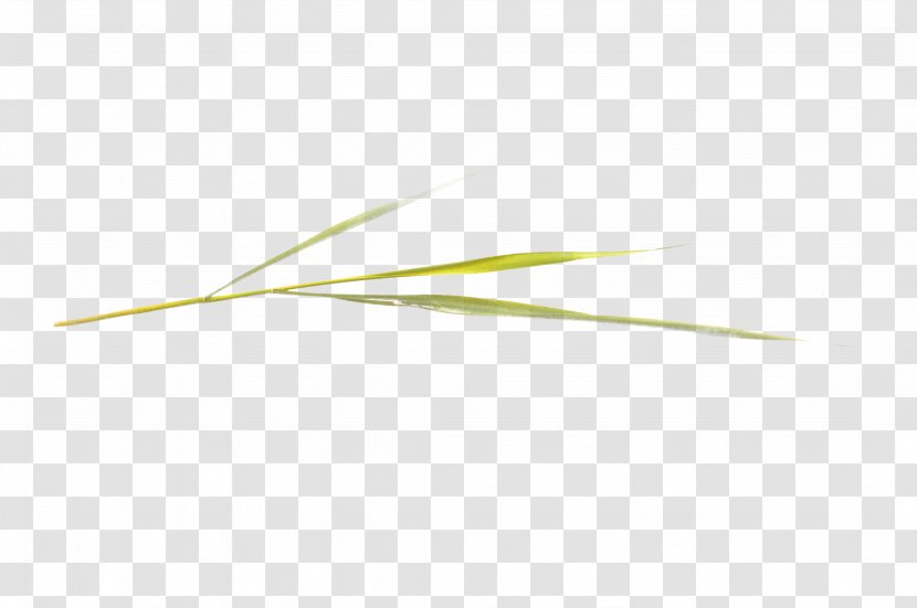 Angle Pattern - Rectangle - Decorative Grass Transparent PNG