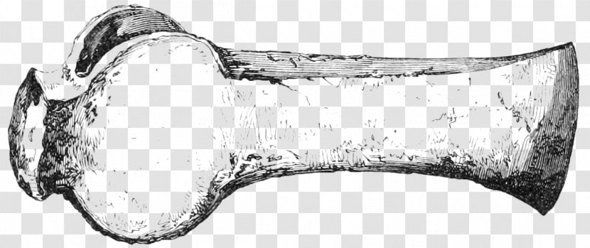 Black And White Monochrome Photography Weapon - Cold - Archaeologist Transparent PNG