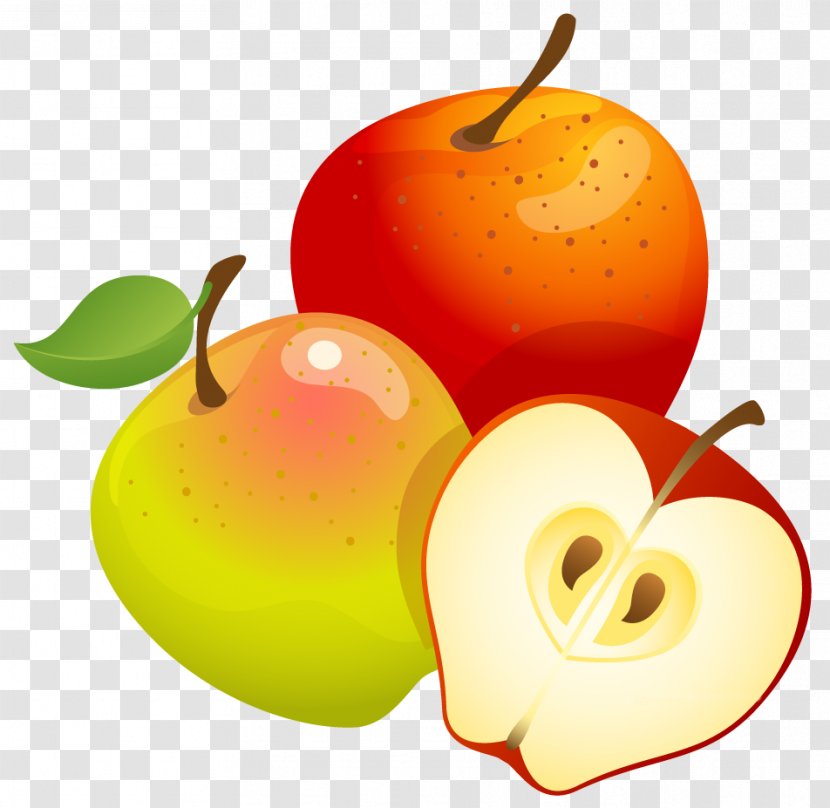 Fruit Tree Euclidean Vector - Food - Large Painted Apples Clipart Transparent PNG