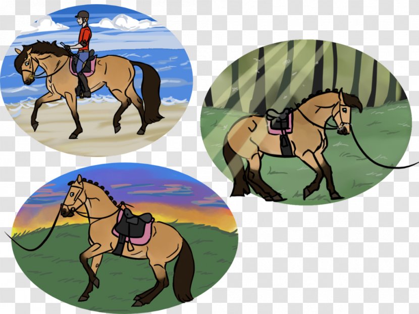 Mustang Bridle Stallion Cowboy Rein - Yonni Meyer Transparent PNG