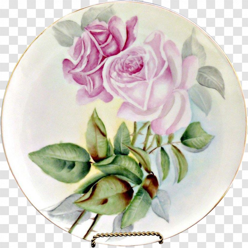 Cabbage Rose Garden Roses Floral Design Cut Flowers - Flower Transparent PNG