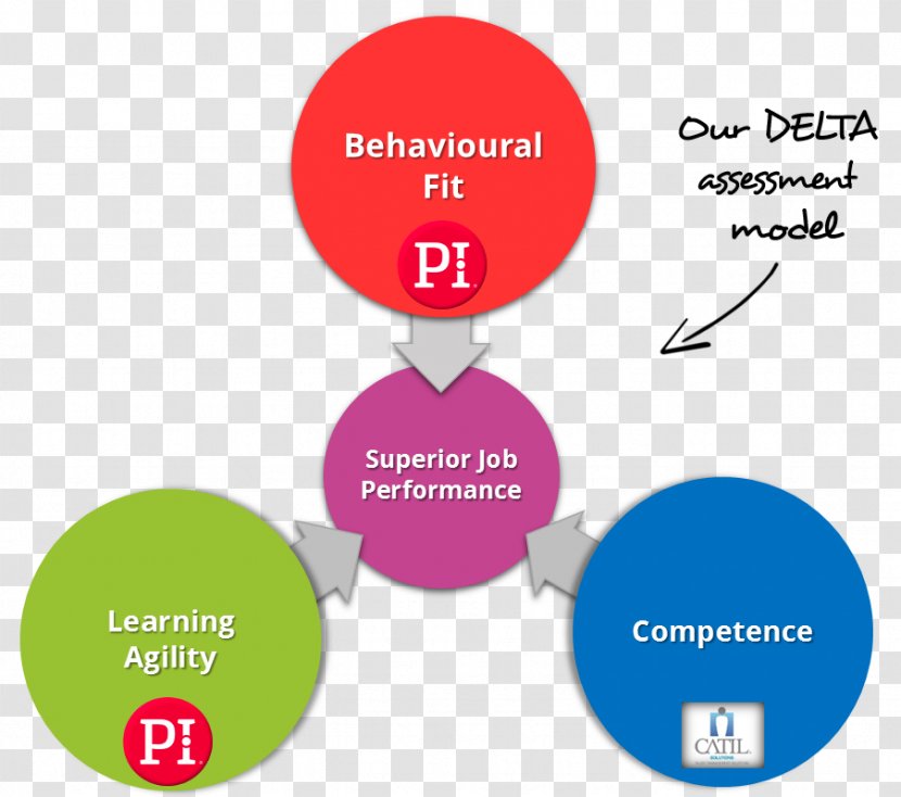 Educational Assessment Talent Management System Test Psychometrics - Online Advertising - Team Freedom Transparent PNG