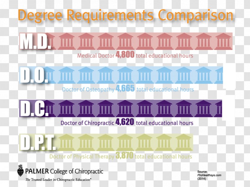 Palmer College Of Chiropractic Education Doctor Medicine Chiropractor - Brand - Health Transparent PNG