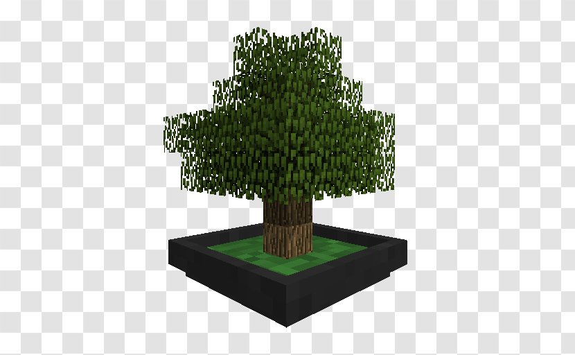 Minecraft Mods Tree Bonsai - Indoor - Ficus Transparent PNG