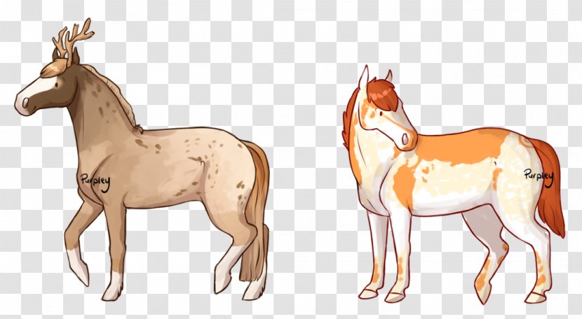 Mule Foal Stallion Mare Colt - Deer - Mustang Transparent PNG