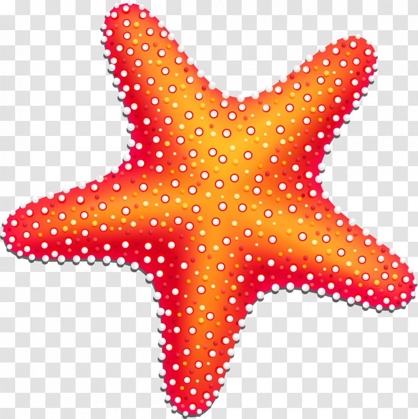 Starfish Drawing Information - Hand Painted Red Transparent PNG