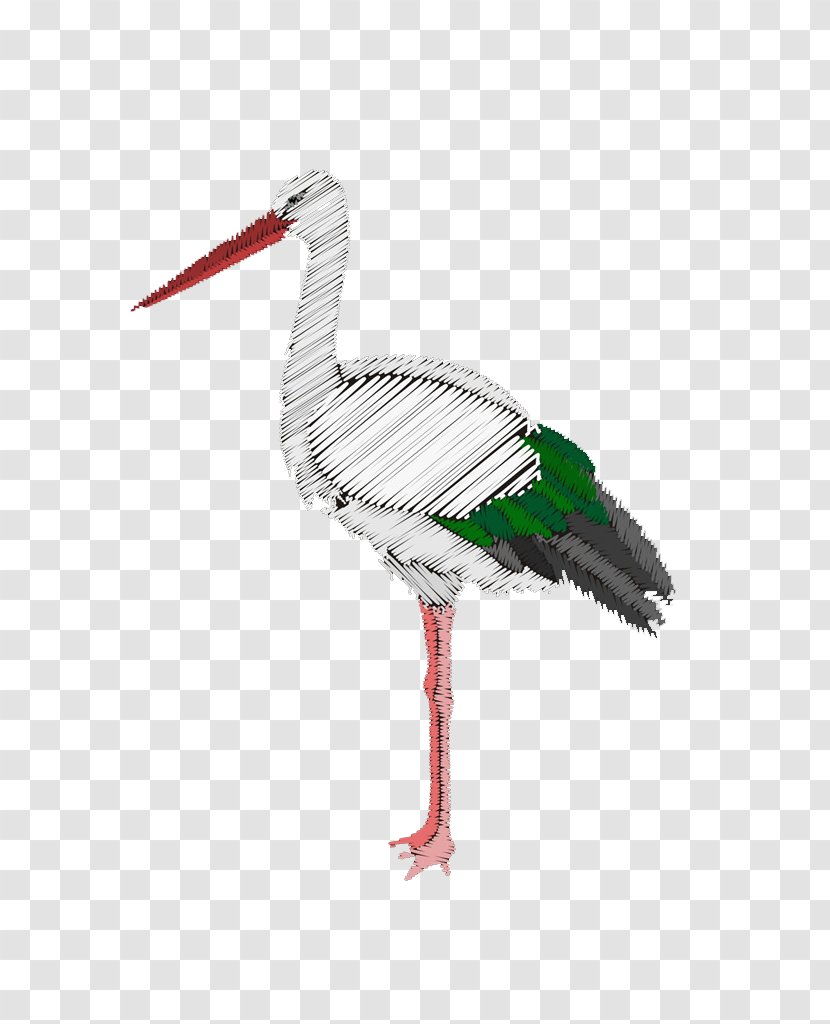 Crane Bird White Stork - Flower Transparent PNG