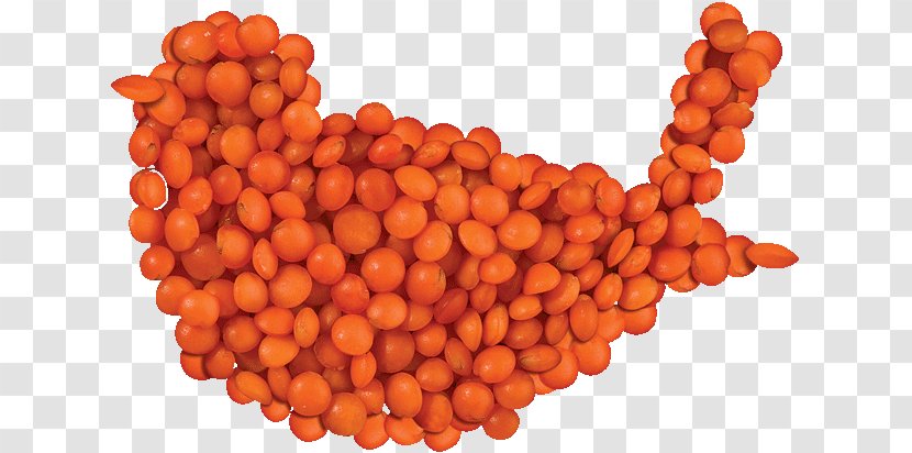 Lentil Common Bean Cooking Football Orange - Commodity - Tv Transparent PNG