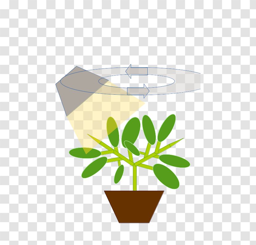 Leaf Flowerpot Clip Art - Plant Transparent PNG
