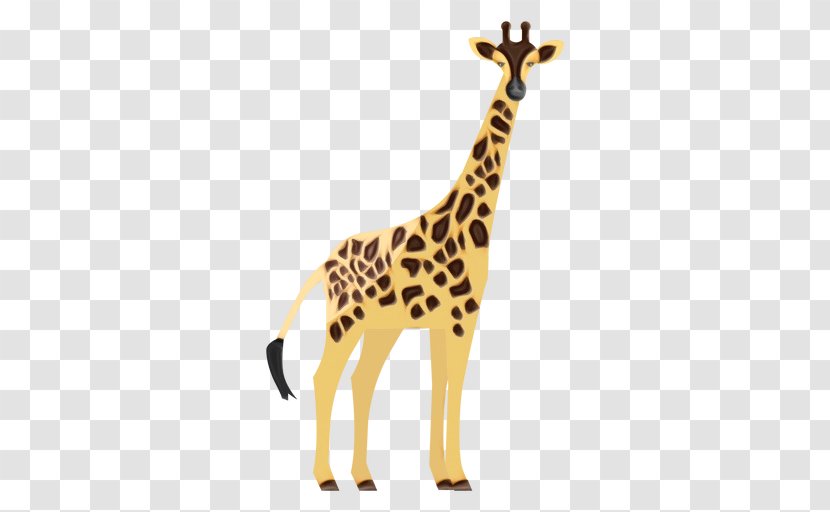 Giraffe Giraffidae Terrestrial Animal Figure Wildlife - Neck Toy Transparent PNG