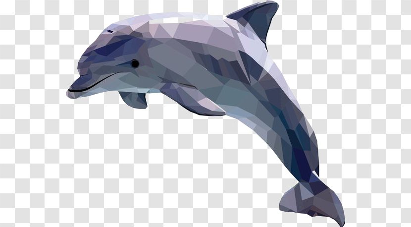 Dolphin Art Illustrator Illustration - Common Bottlenose - Cartoon Transparent PNG