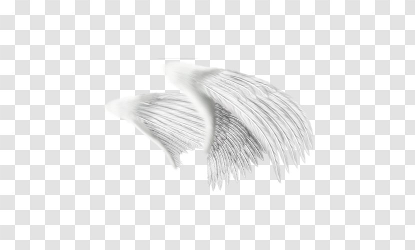 White Black Pattern - Feather - Painted Wings Creative Transparent PNG