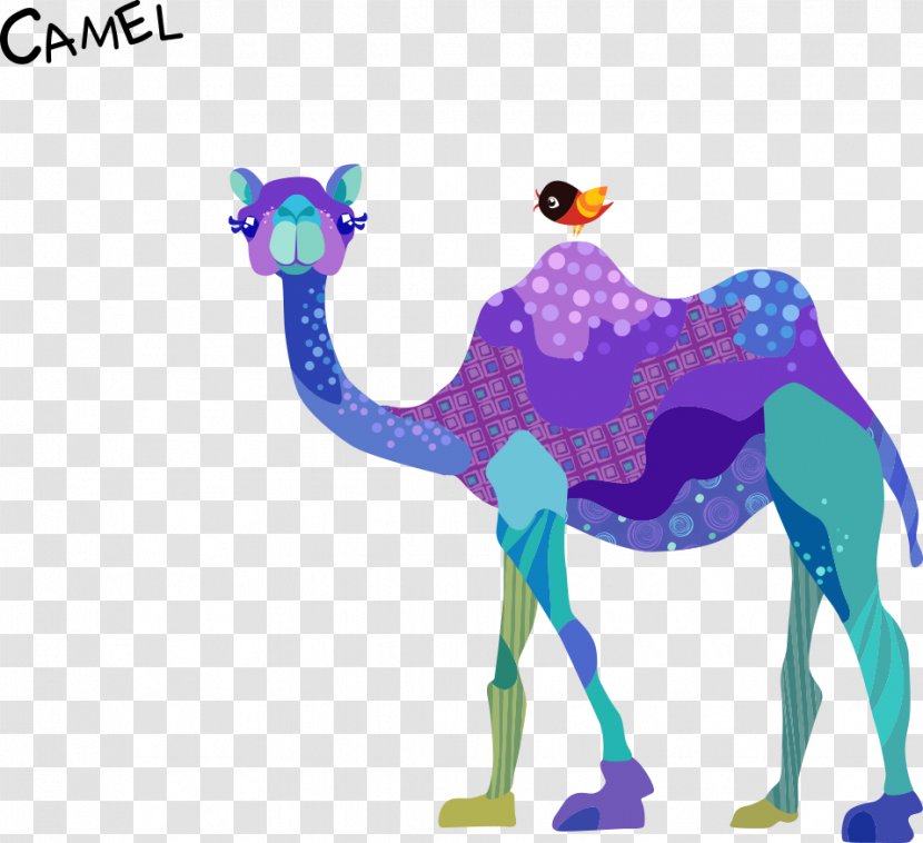 Dromedary Bactrian Camel Drawing Cartoon - Art - Vector Transparent PNG