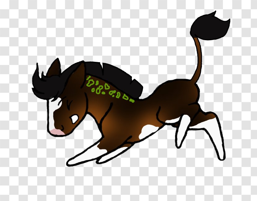 Mule Pony Stallion Mustang Rein - Halter Transparent PNG