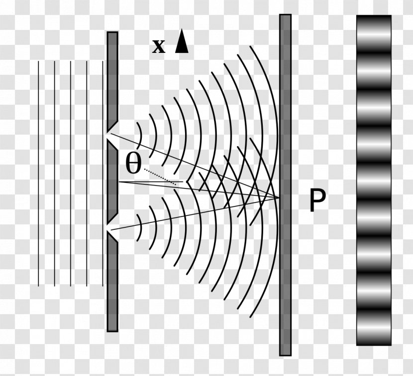 Particle Physics Double-slit Experiment Light Wave Interference - Flower Transparent PNG