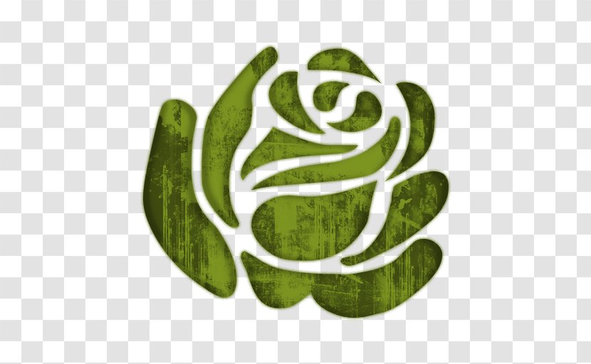 Wall Decal Sticker Rose Polyvinyl Chloride - Stencil Transparent PNG