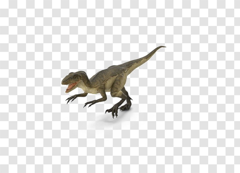 Deinonychus Velociraptor Transparency Image - Theropods - Blue Transparent PNG