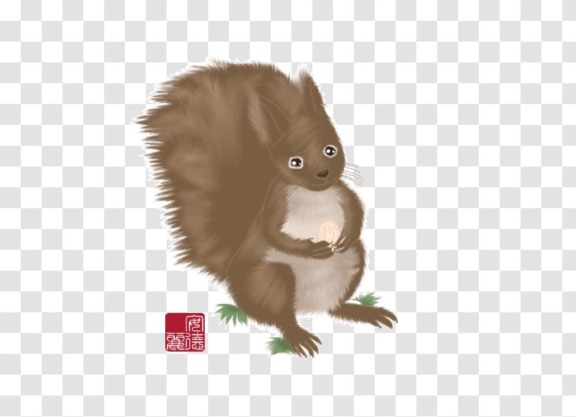Squirrel Whiskers Fur Fauna Snout Transparent PNG