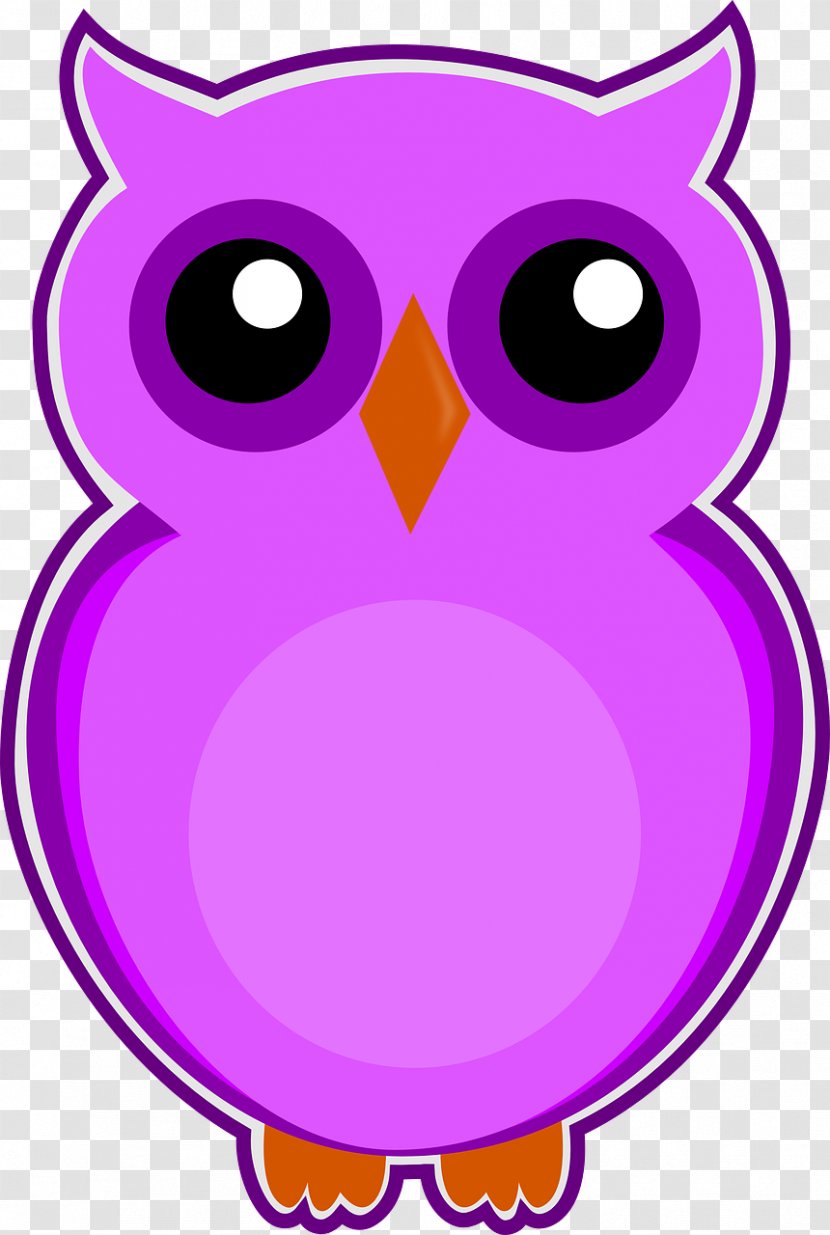 Owl Eksen Dershaneleri Bird - Violet Transparent PNG
